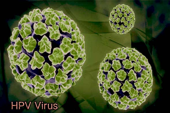 کیت hpv و کیت تشخیصی hcv کیت hpv و کیت تشخیصی hcv