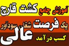 آموزش پرورش gharch khoraki در یک پکیج کامل و جامع تصویر آموزش پرورش gharch khoraki در یک پکیج کامل و جامع