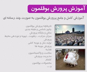 بسته آموزشی پرورش بوقلمون تصویر بسته آموزشی پرورش بوقلمون