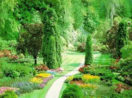 باغ آرایی-آموزش اسرار باغبانی-fazaye sabz-آموزش اصول باغبانی-baghbani-گل کاری-golkari-طراحی فضای سبز