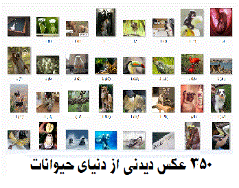مجموعه_350_تصویر_دیدنی_از_حیوانات