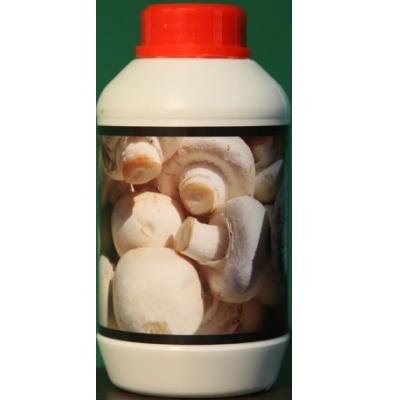مکمل تقویتی قارچ-مکمل پرورش قارچ نانو-پرورش قارچ صدفی-پرورش قارچ دکمه ای-محلول تقویت کننده قارچ-پرورش قارچ خوراکی-parvaresh gharch-تقویت کننده قارچ-نانو قارچ-nano gharch