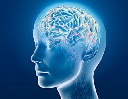 نرم_افزار_خارق_العاده_تقويت_امواج_مغز